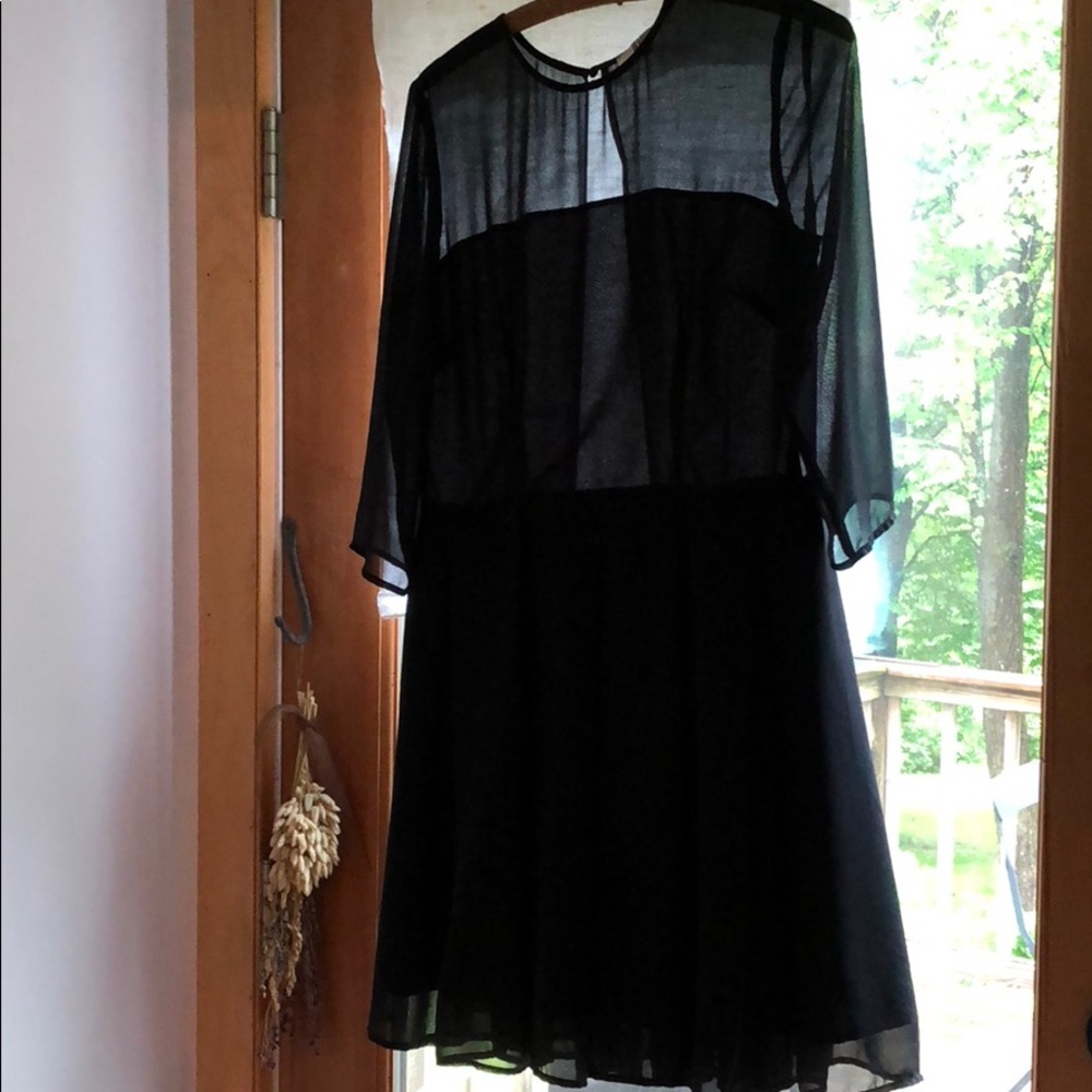 BB Dakota Fit and Flare with Sheer Features
